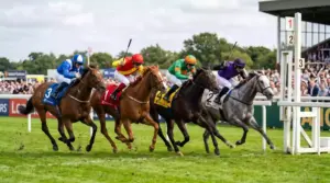 Each-Way Betting Explained | Horse Racing Guide UK